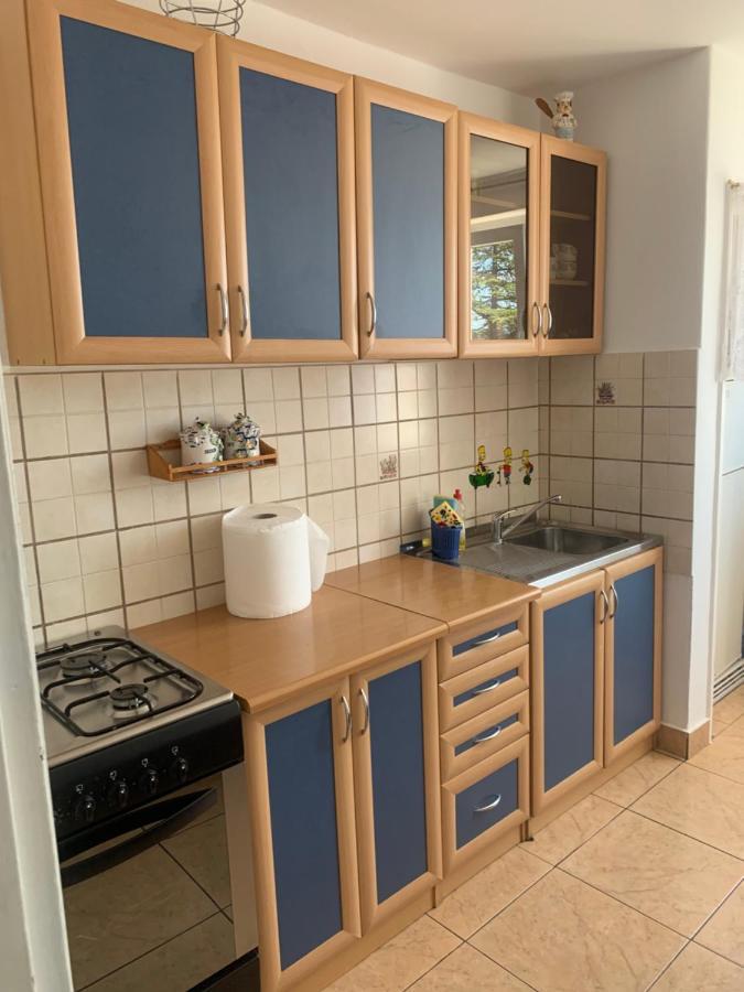 קריקווניצה Sanela- Apartman Za Bezbrizan Odmor מראה חיצוני תמונה